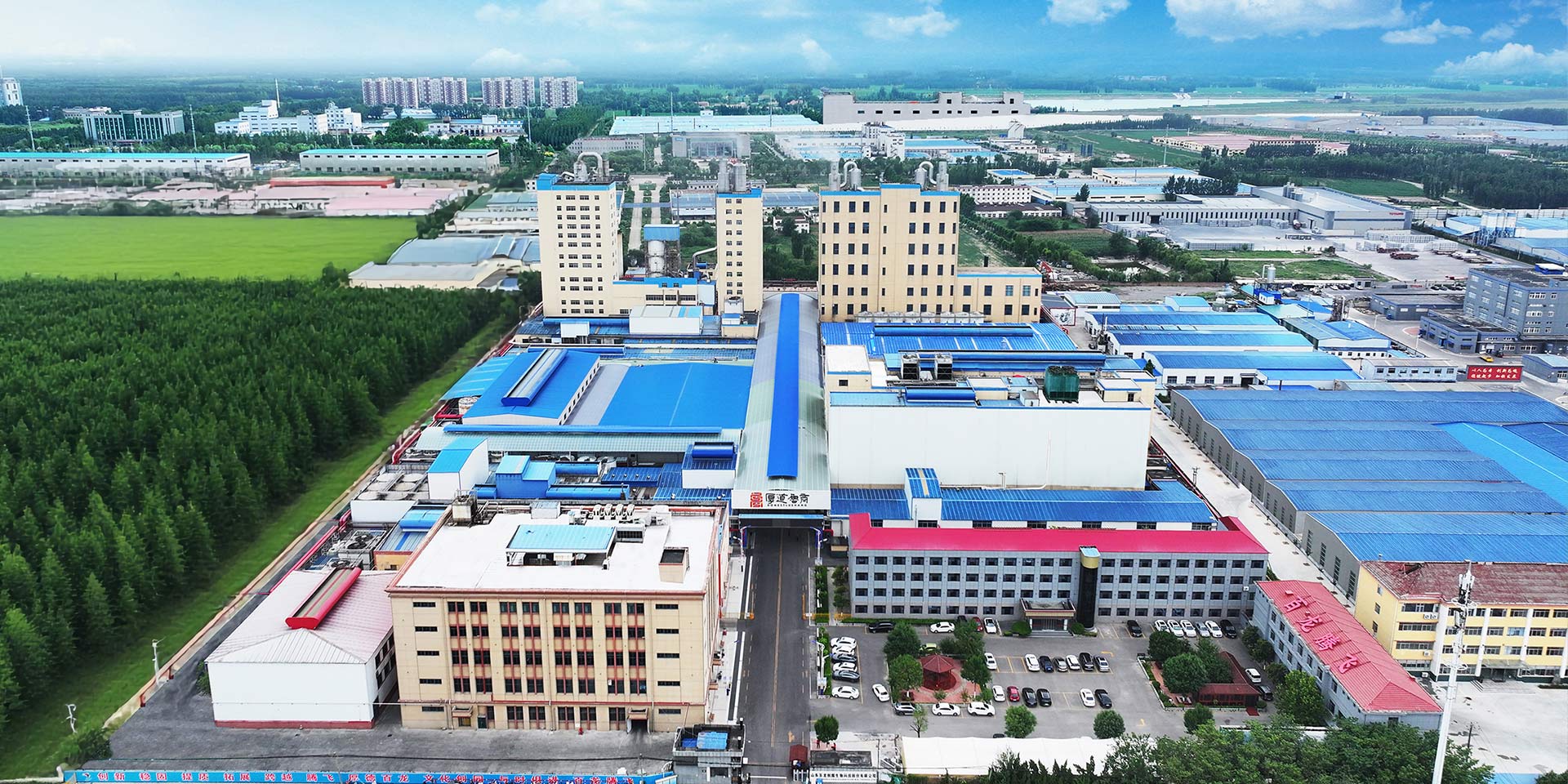 低聚木糖粉廠家